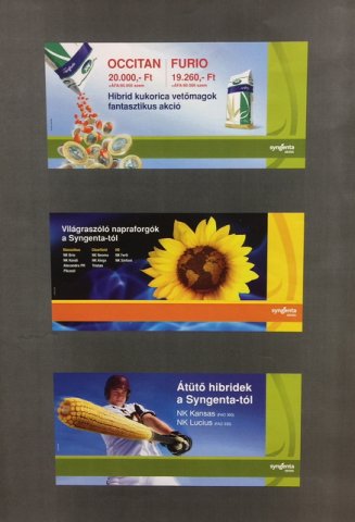 Berettyóújfaluból Elszármazottak Napja 2018 19